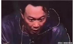 刘大锤爆料辛巴视频大全,精彩瞬间一网打尽